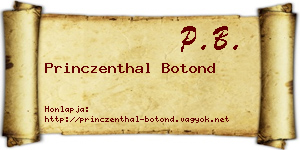 Princzenthal Botond névjegykártya